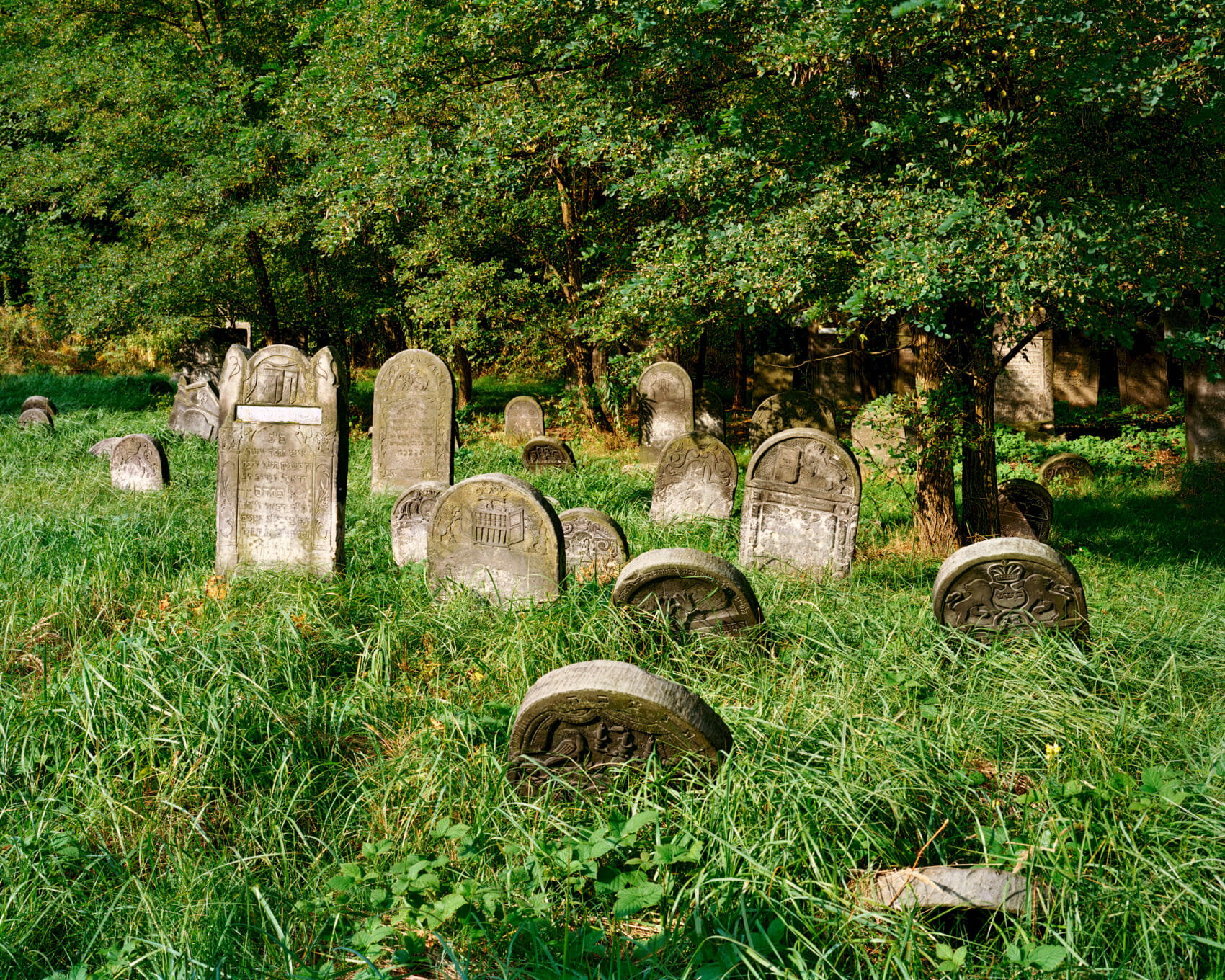 Oldest Monuments in the Jewish Cemetery, Lodz, Poland, 2007