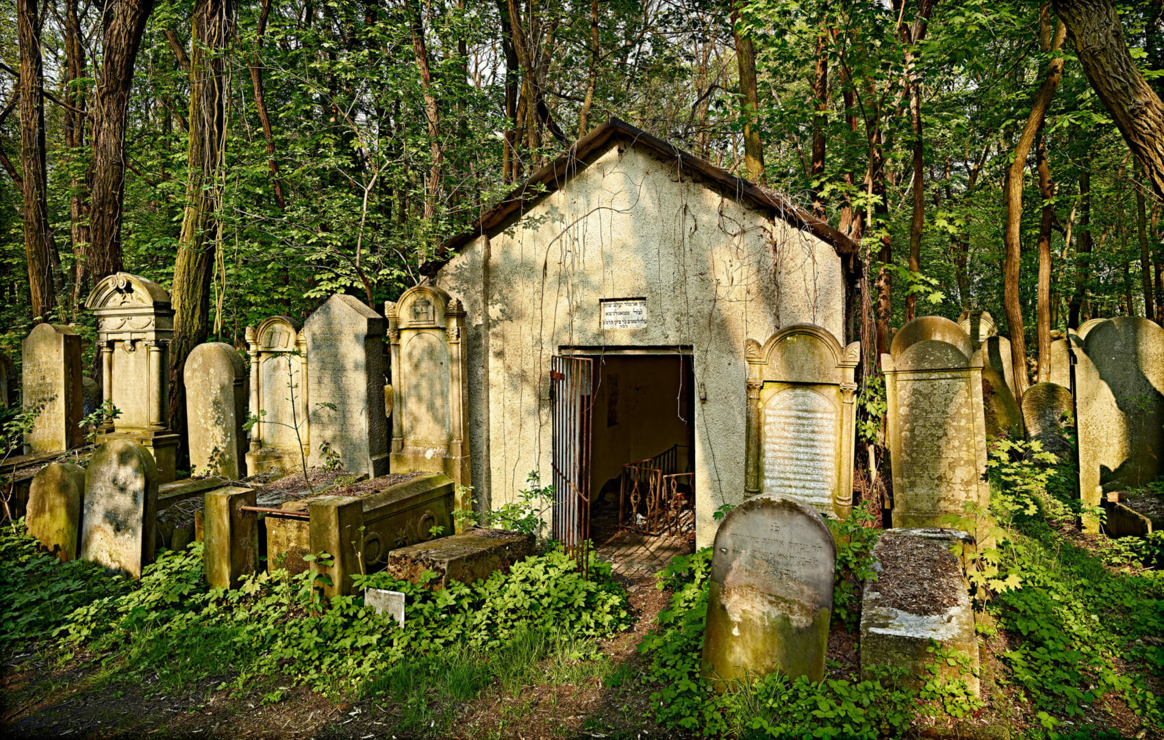 A Small Mausoleum in Warsaw's Forested Jewish Cemetery, Warsaw, Poland, 2011