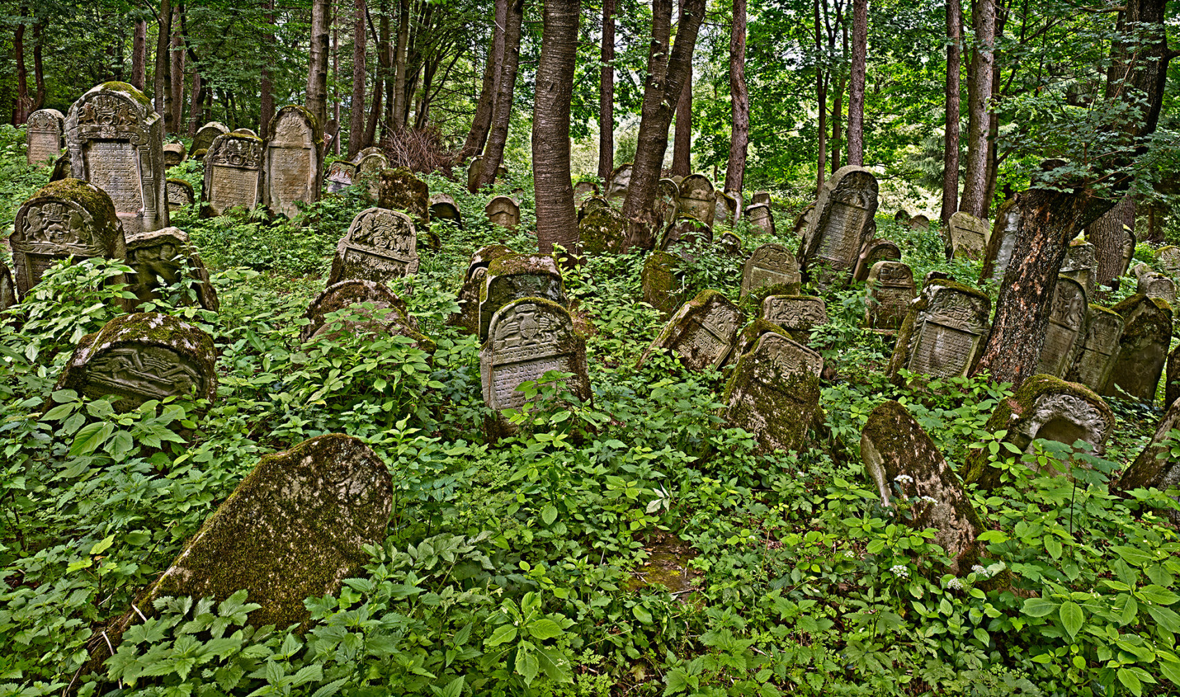 Panorama of Gravestones on a Plateau, Jewish Cemetery of Lesko, Poland, 2012
