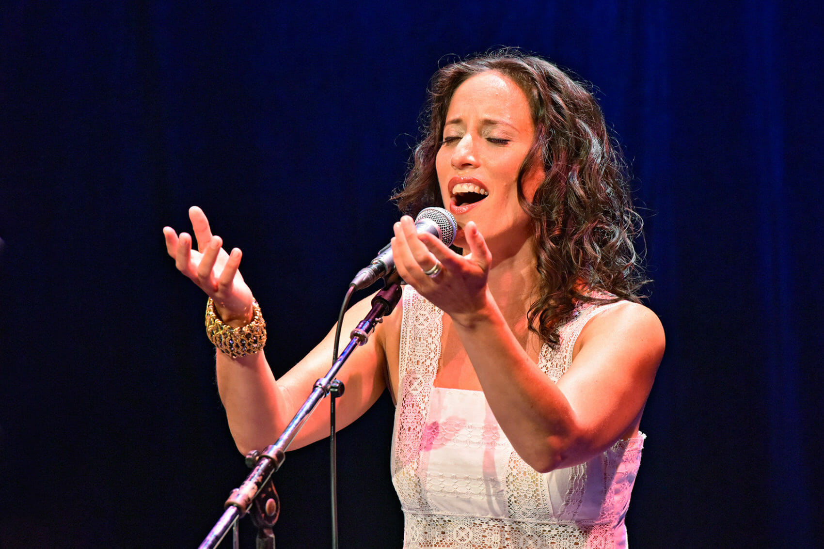 Aviva Chernick, Gesturing, Ashkenaz Festival, Toronto, 2014