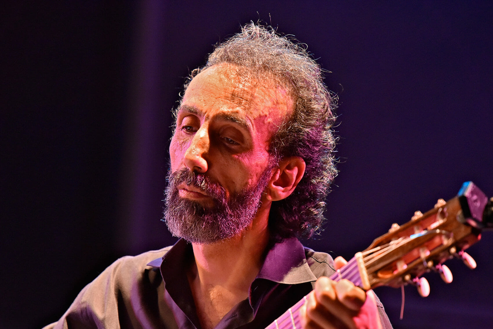 Brian Katz, Guitariist and Composer, Ashkenaz Festval, Toronto, 2014