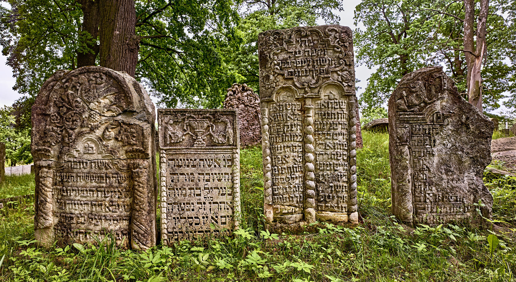 Gravestones with Ornate Calligraphy, Bolekhiv, Ukraine, 2016