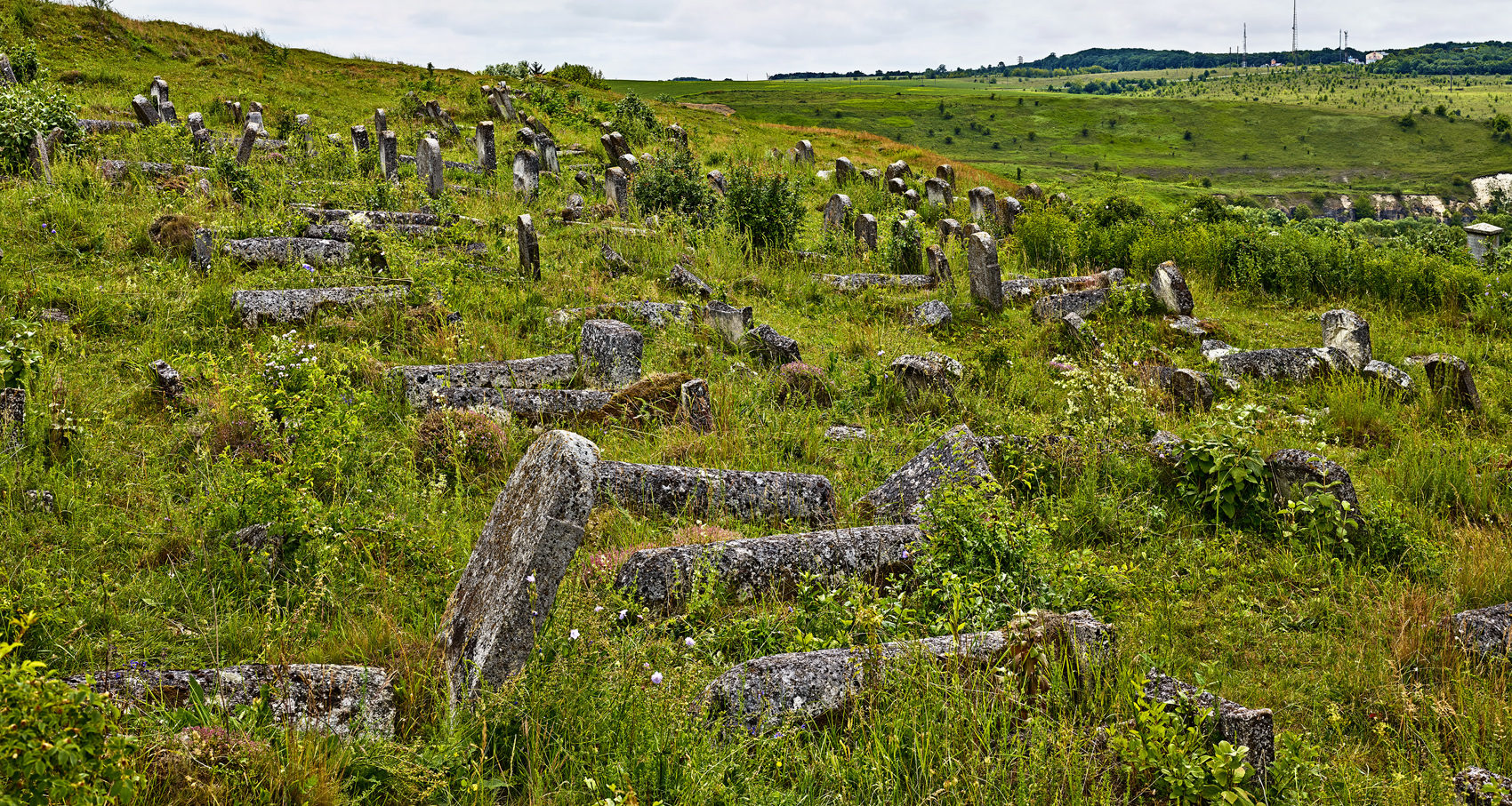 Jewish Cemetery of Sataniv, Ukraine, 2016