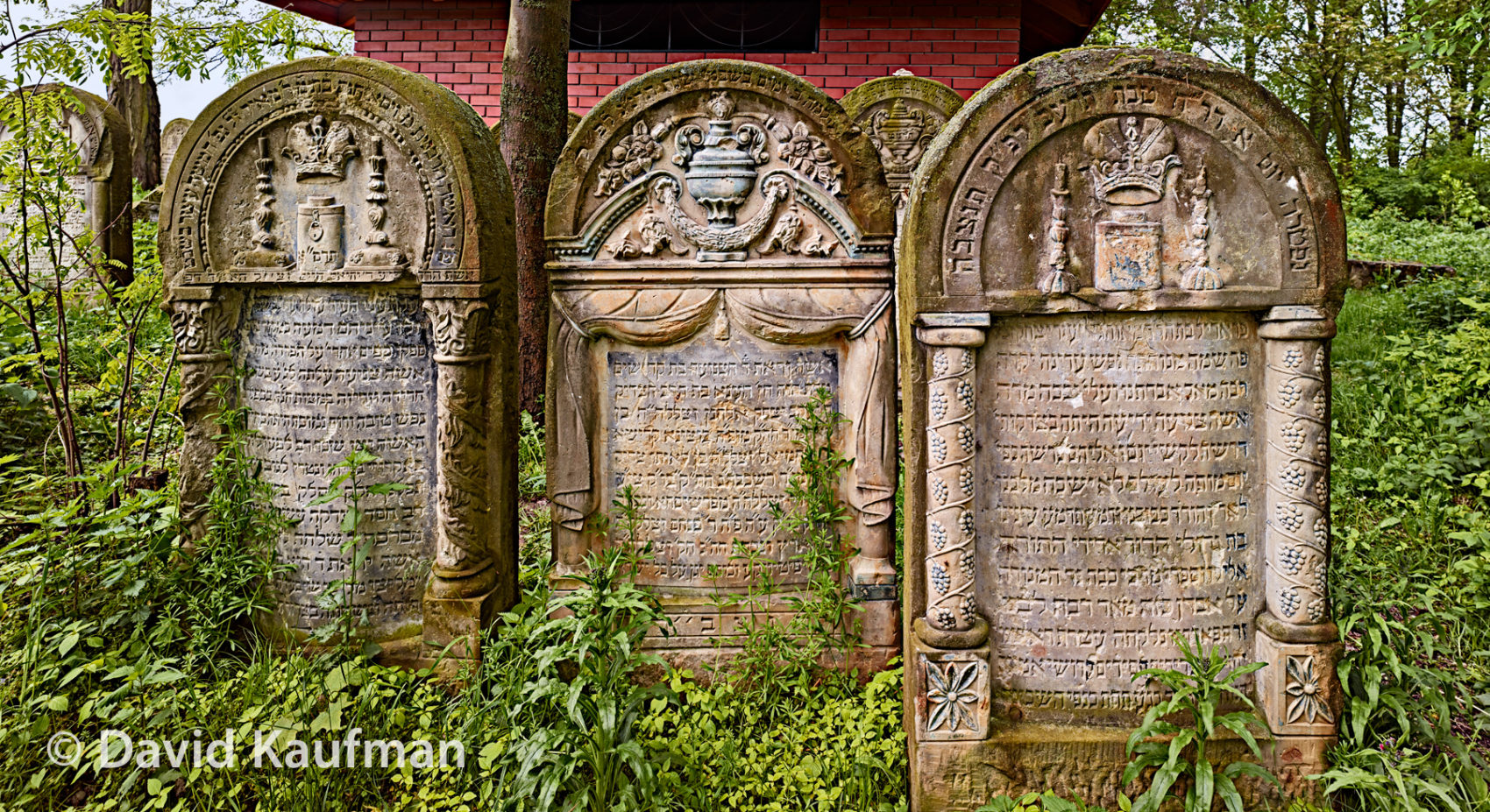 Polychrome Gravestones in the Jewish Cemetery of Ozarow, Poland, 2014