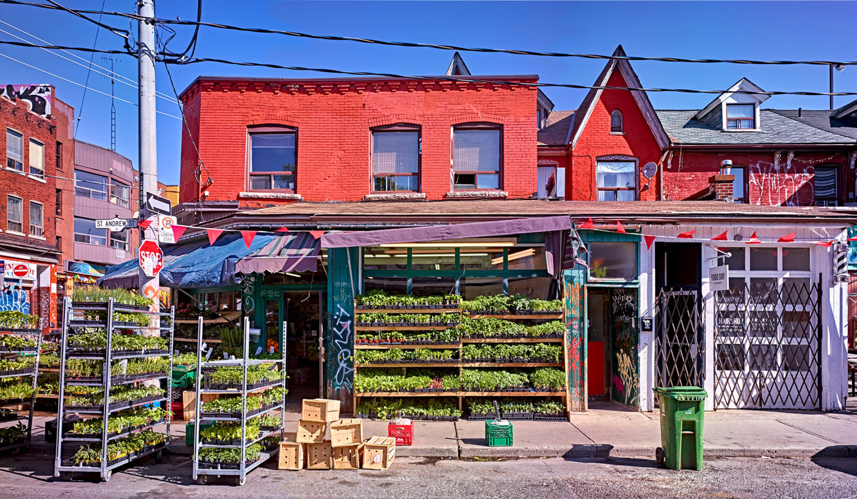 Spring Plants for Sale, St. Andrew Street, Toronto, 2015